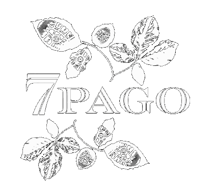 7 Pago