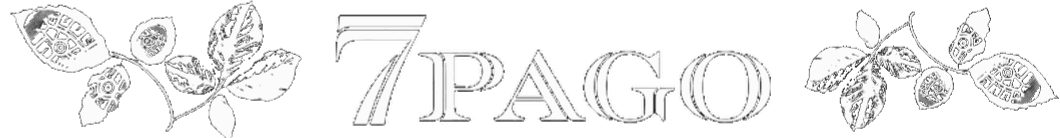 7 Pago Mendi Lasterketa